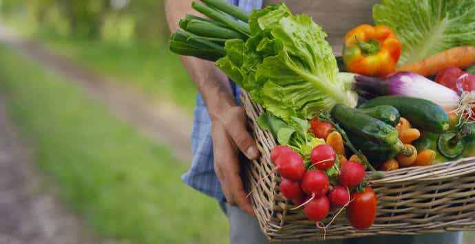 Basket of Vegetables