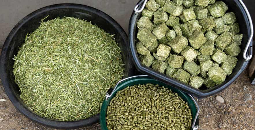 Chopped forage, cubes, and pellets showing different forage forms for horses.