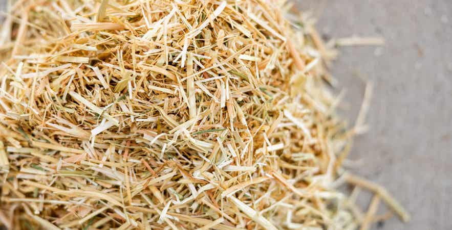 Close-up of chopped straw bedding texture for backyard chicken coop use.