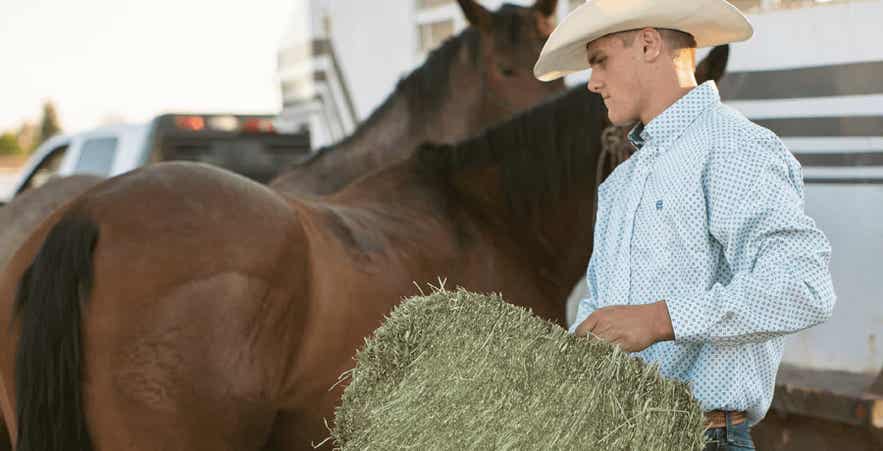 Cowboy carrying hay.
