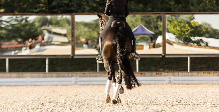 Horse dressage.