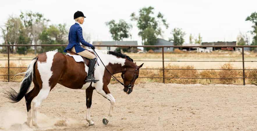 Horse and rider working in an arena, highlighting the importance of digestive health, nutrition, and consistent forage intake for active horses.