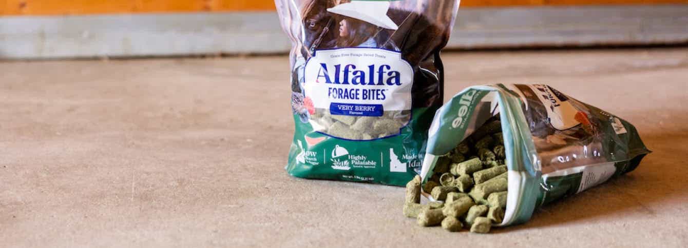 Standlee Alfalfa Bites - Grain-Free Healthy Treats for Horses