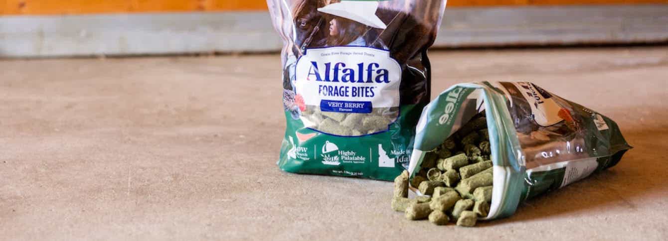 Grain-Free Alfalfa Forage Bites: Healthy Treats for Horses