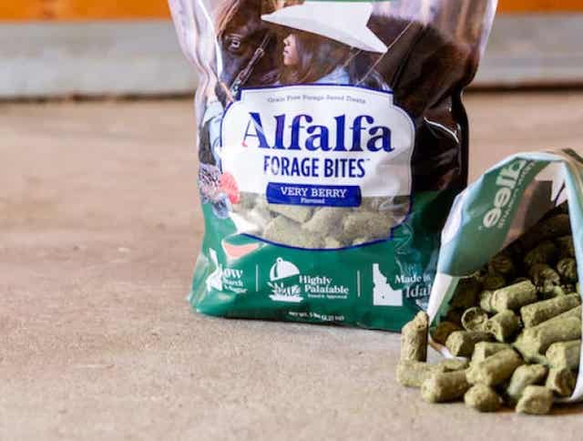 Grain-Free Alfalfa Forage Bites: Healthy Treats for Horses