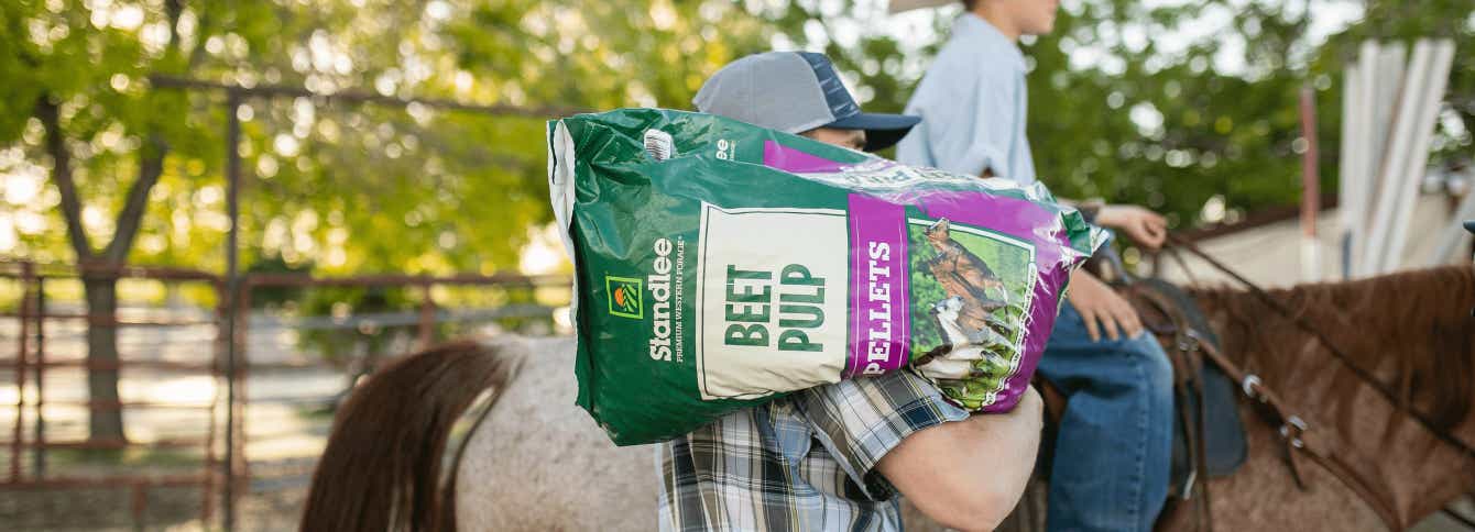 Beet Pulp for Horses – Part 1