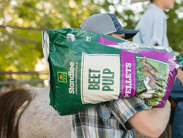 Everything You Need to Know About Beet Pulp for Horses – Part 1