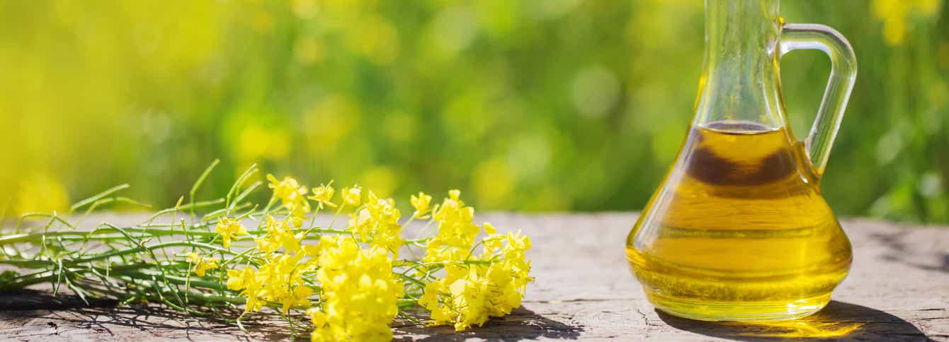 Benefits of Canola Oil for Horses