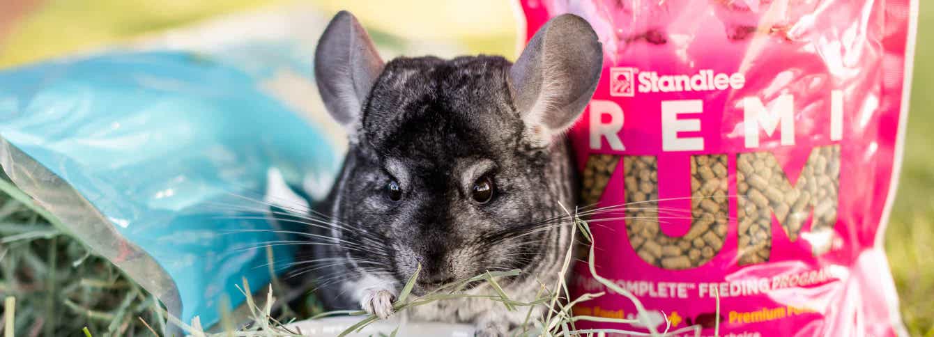 Standlee PremiYum Fortified Foods for Small Animals