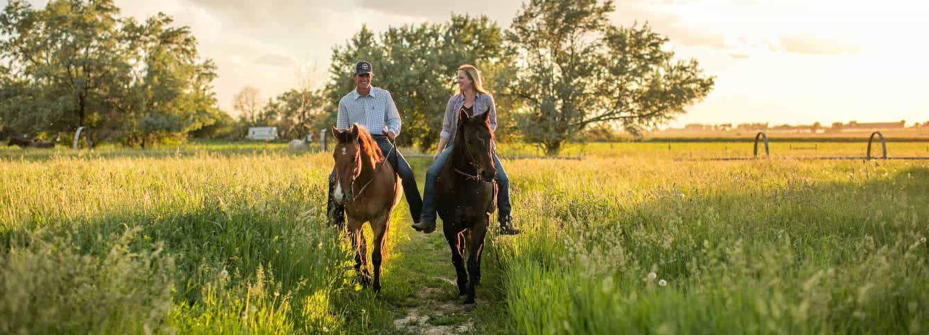 What Can I Feed My Horse to Manage Gastric Ulcers