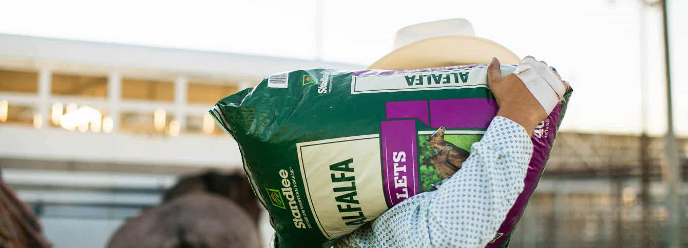 Understanding the energy or calorie content in horse diets.
