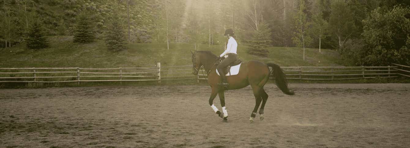 How Feeding Teff Grass Pellets Can Help You and Your Horse