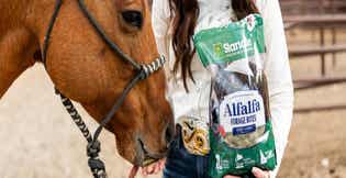 Using Horse Treats for R+ Training