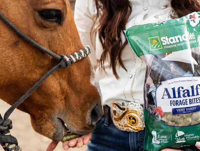 Using Horse Treats for R+ Training