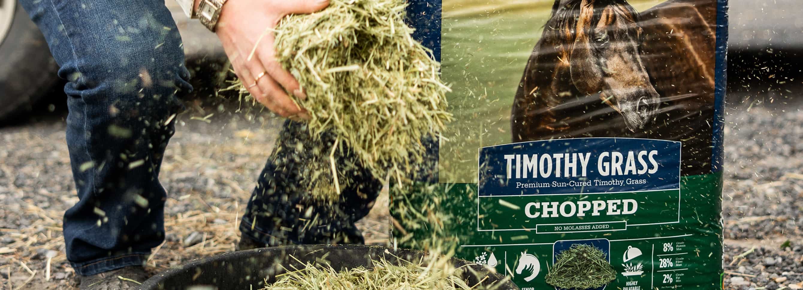 Woman grabbing a handful of chopped Timothy Grass forage.