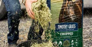 Chopped Forage for Horses: Benefits, Uses, and How to Feed