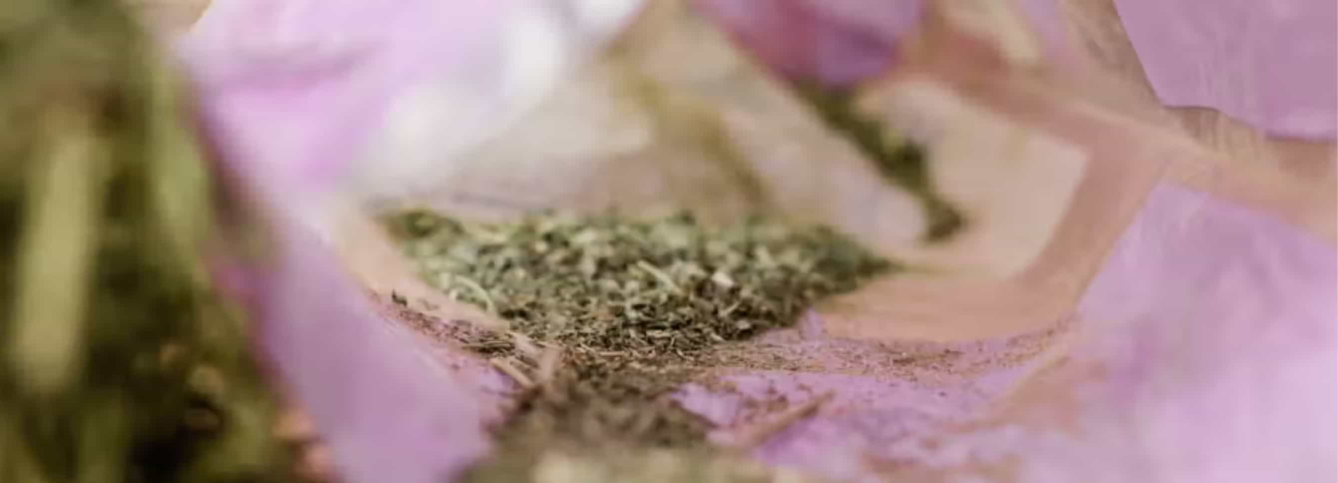 Forage fines at bottom of hay bag.