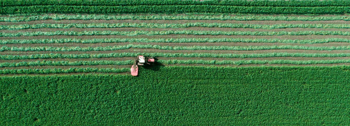 Must-Know Proper Forage Storage Tips
