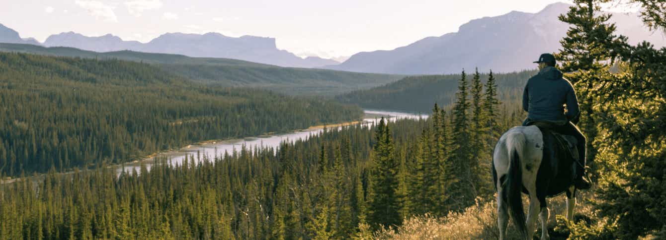 Standlee Offers Certified Noxious Weed Free Forage Options