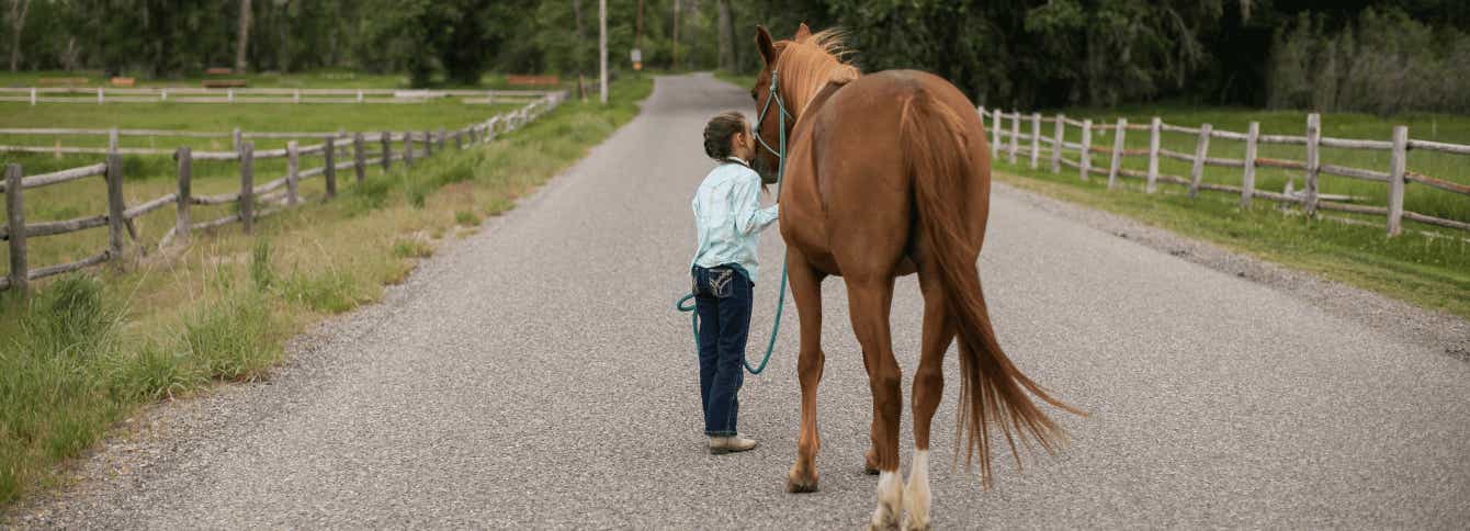 5 Common Horse Feeding Mistakes