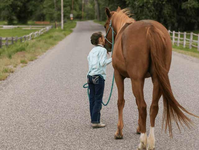 5 Common Horse Feeding Mistakes