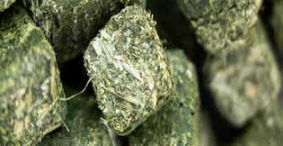 Bentonite in Forage: What It Is and Why It Matters
