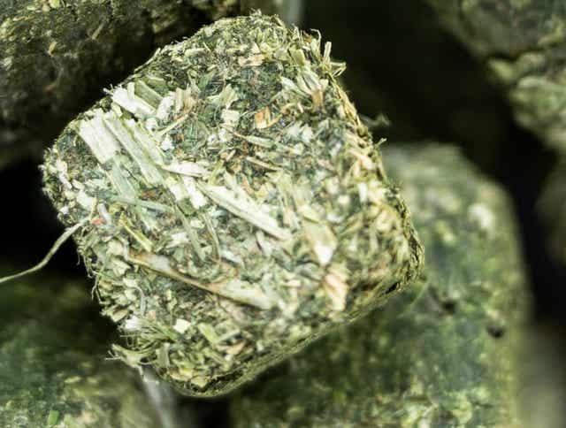 Bentonite in Forage: What It Is and Why It Matters