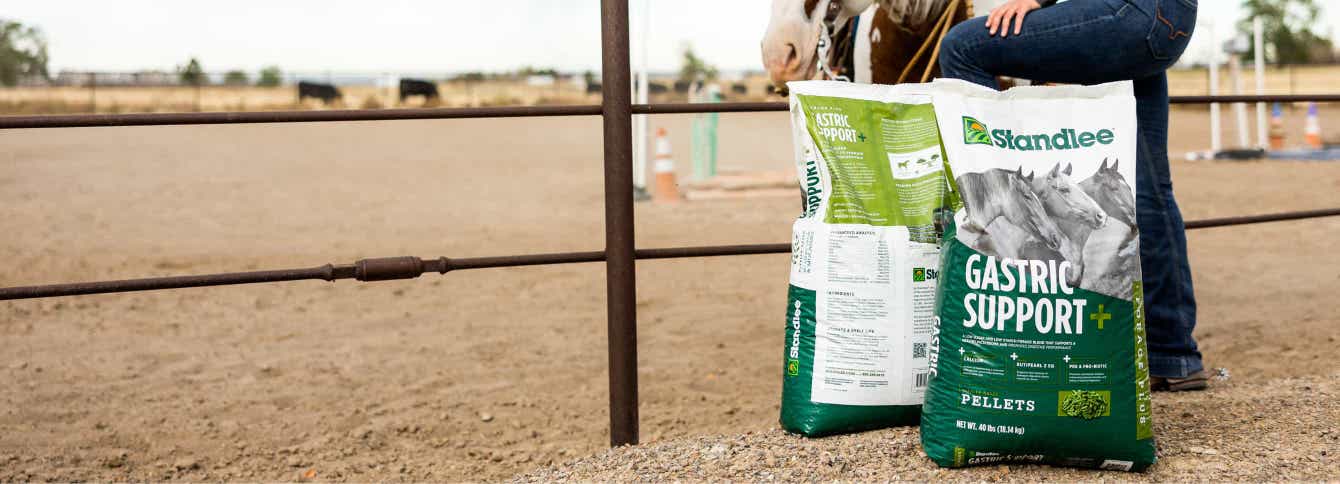 5 Tips to Manage Gastric Ulcers in Horses with Feed Supplements