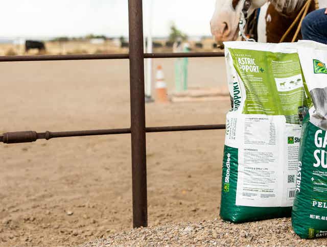 5 Tips to Help Manage Gastric Ulcers in Horses Using Feed