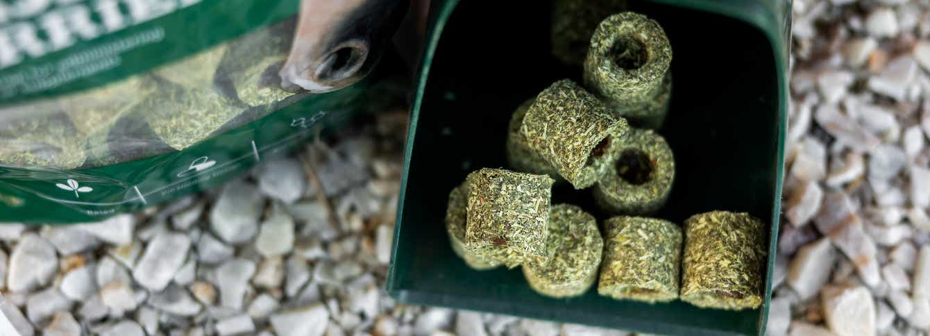 Give Horses Oral Medication with Horse Pill Carriers