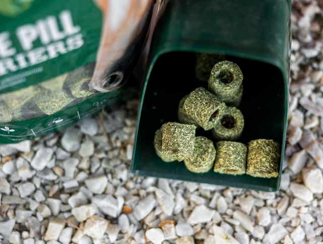 Giving Horses Pills Just Got Easier with Standlee