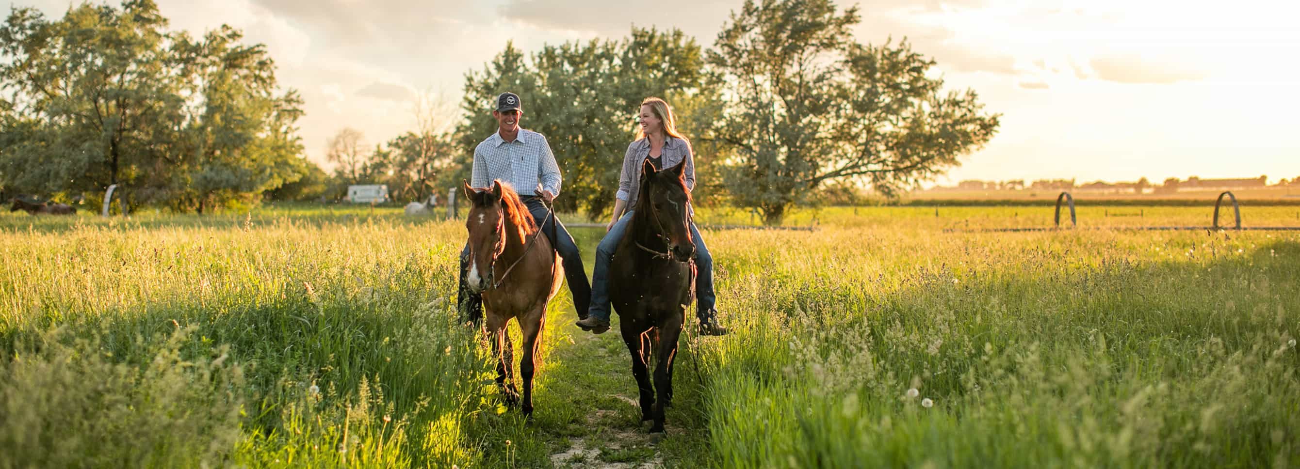 Riders on horses in lush green spring pasture.