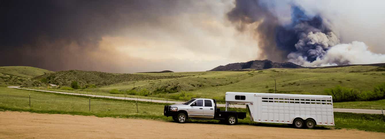 Feeding Horses During Disasters