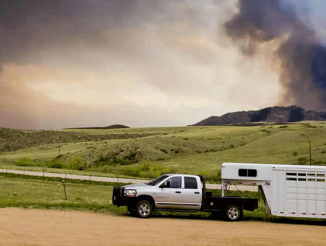 Feeding Horses During Disasters