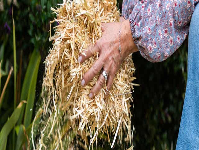 Preparing Your Autumn Garden