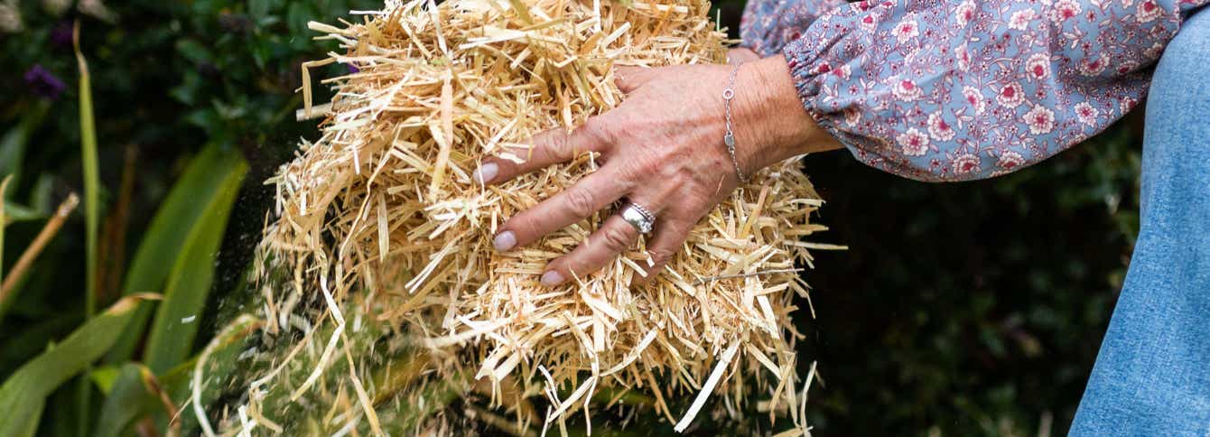 Preparing Your Garden for Autumn. Fall Garden Tips.