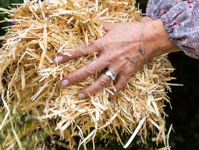 Preparing Your Autumn Garden
