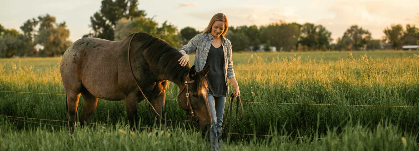 Ensure your horse diet includes vitamins & minerals.