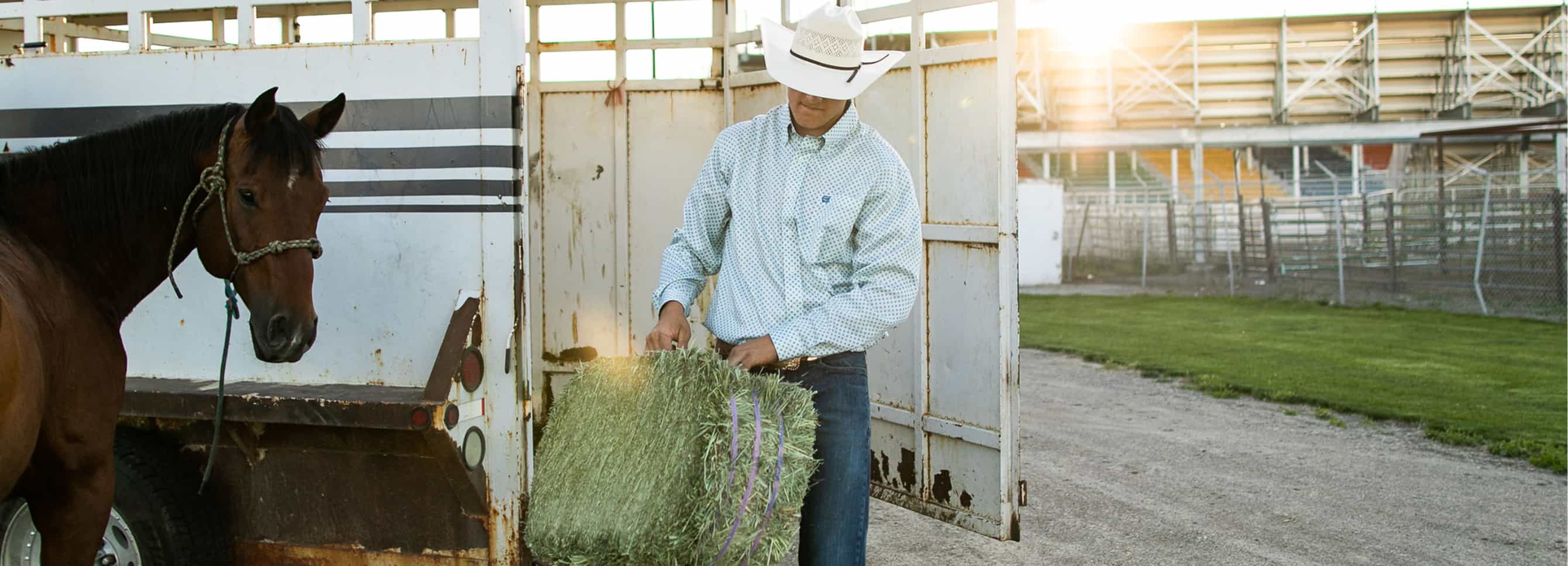 Cowboy taking a forage bale out of his horse trailer with horse nearby.