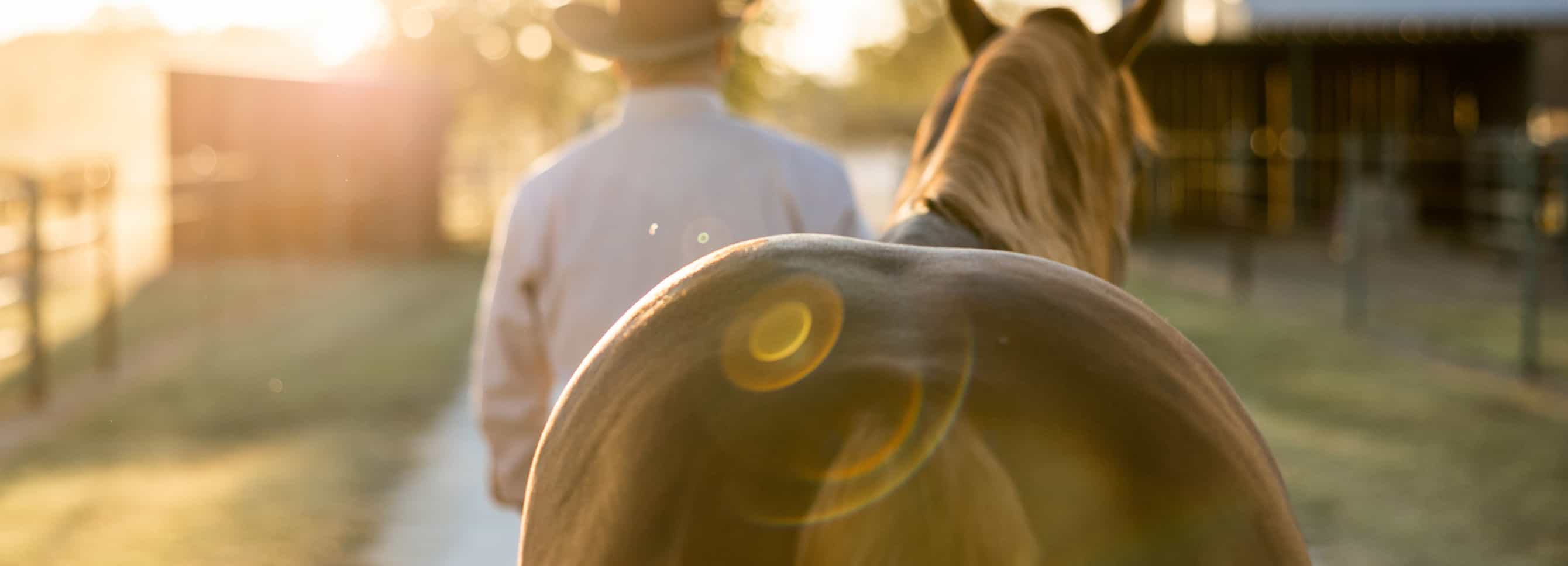 Man walking horse.