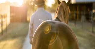 Fall Horse Care: How to Prepare Your Horse for Cooler Weather