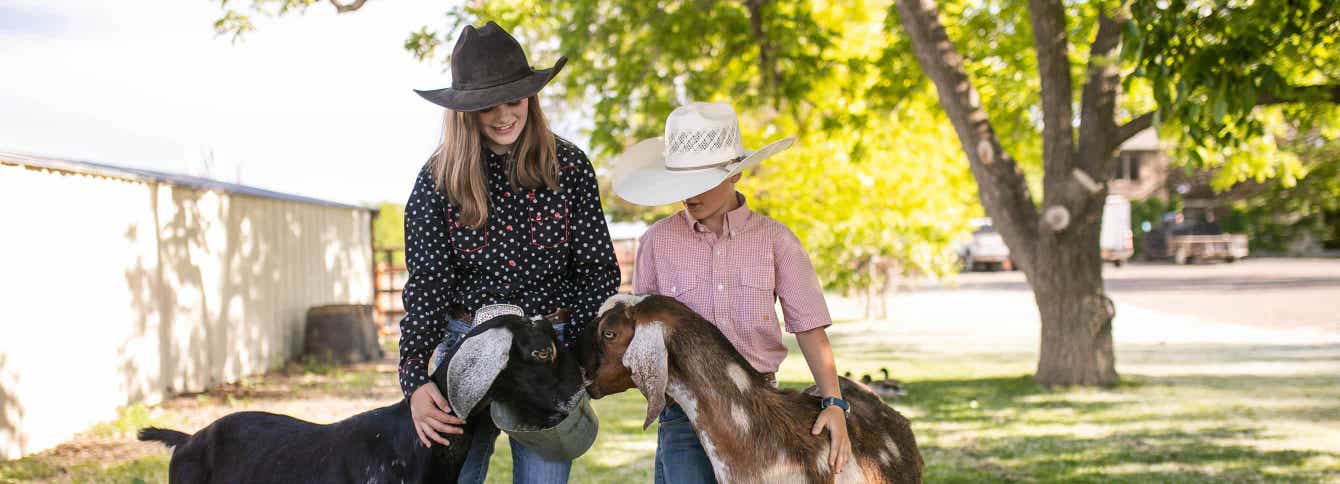 4 Tips for Managing and Feeding Goats in the Fall