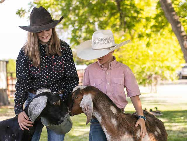 4 Tips for Managing and Feeding Goats in the Fall