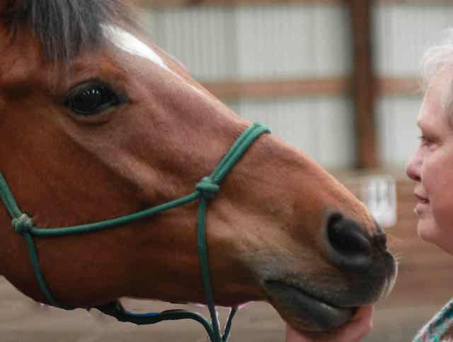 How Horses Heal the Trauma that Comes with Breast Cancer