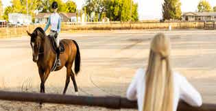 Feeding the Performance Horse