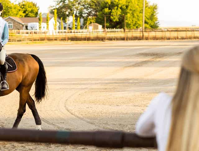 Feeding the Performance Horse