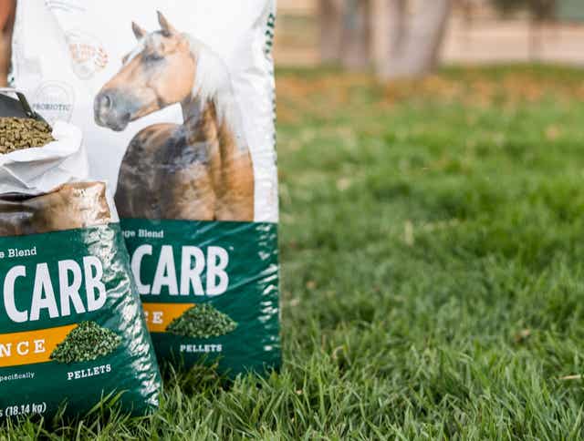 Low Sugar and Starch Forage Blend - Smart Carb Performance