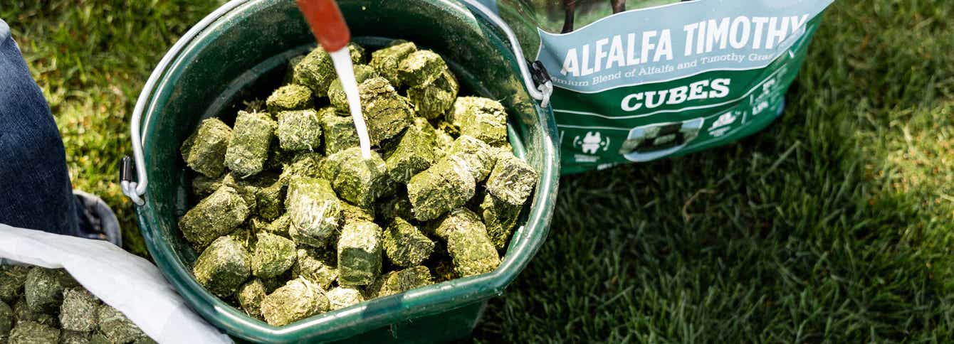 Complete Guide On How to Soak Hay Cubes & Pellets For Horses