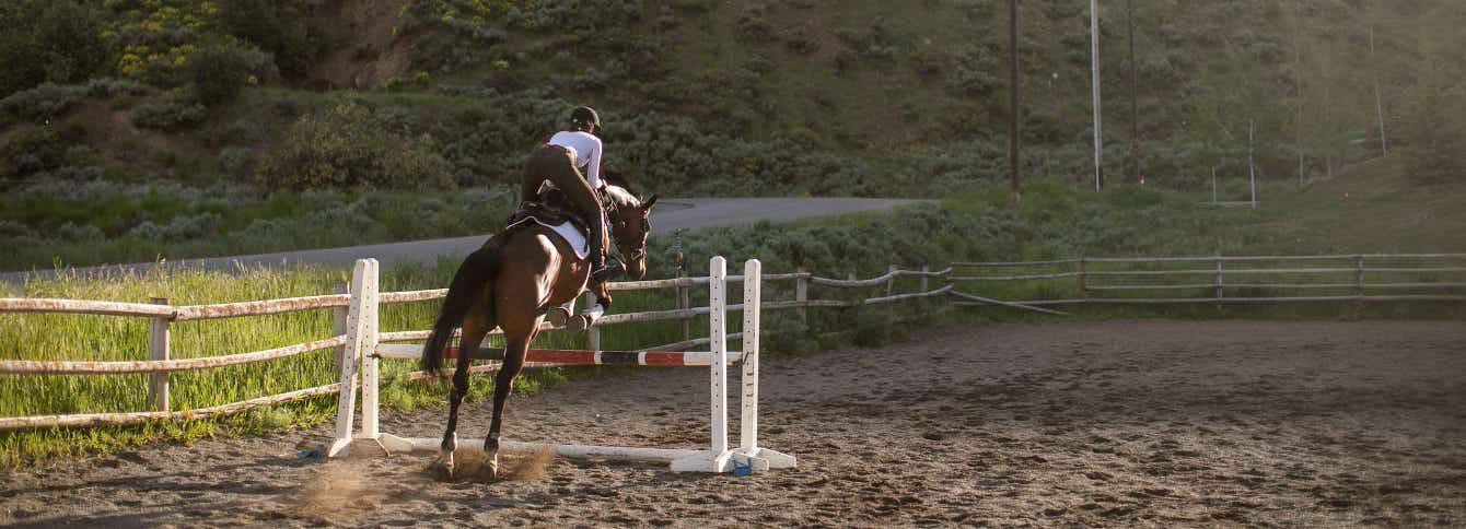 Simple steps to bring your horse back after winter