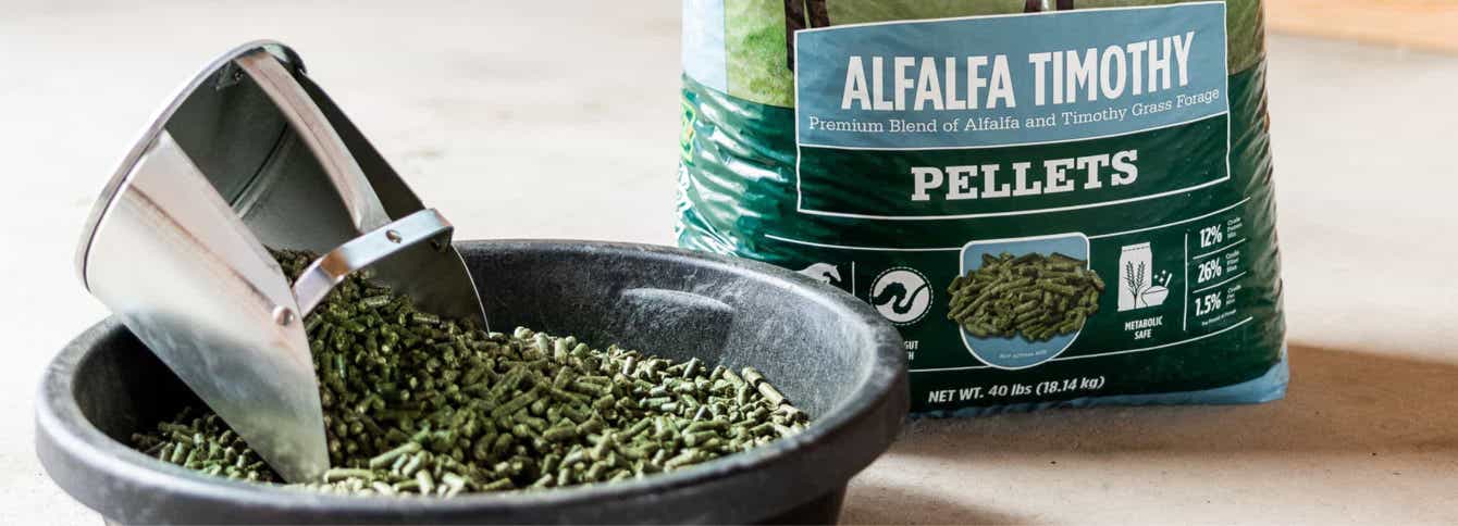 Feeding Alfalfa Timothy Hay for Horses